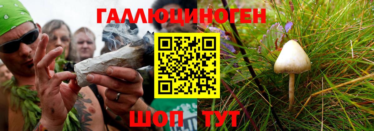 Псилоцибиновые грибы GOLDEN TEACHER  цена наркотик  Псилоцибиновые грибы GOLDEN TEACHER  Тобольск  Вход с VPN 